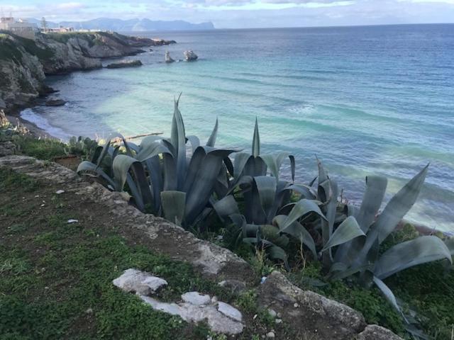 By The Sea Bed & Breakfast Terrasini Bagian luar foto